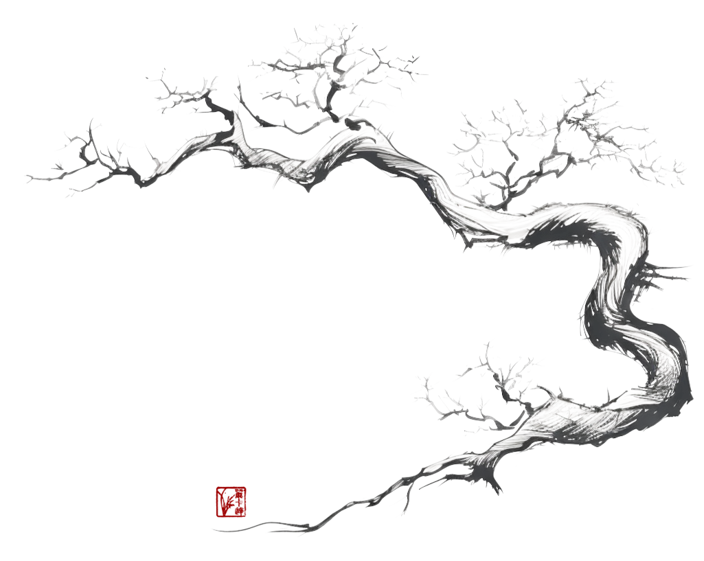 <span class='p-name'>The Wisdom of the Ancient Tree</span>